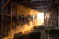 The Barn That Held the Day art puzzle: the inside of an old wooden barn, golden light and dust pouring through the slats and open doors onto hay bales, old tools hanging on the wall