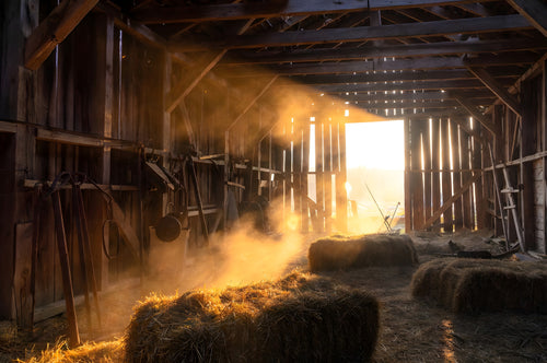 The Barn That Held the Day art puzzle: the inside of an old wooden barn, golden light and dust pouring through the slats and open doors onto hay bales, old tools hanging on the wall