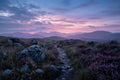 The Heather Road Home art puzzle: a narrow stone path through purple heather and lichen-covered boulders toward rolling hills under a pink and violet dusk sky