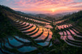 The Terraces That Hold the Sunset art puzzle: water-filled rice terraces curving down a jungle hillside at sunset, every pool reflecting the pink and orange sky, a small thatched hut and palms below